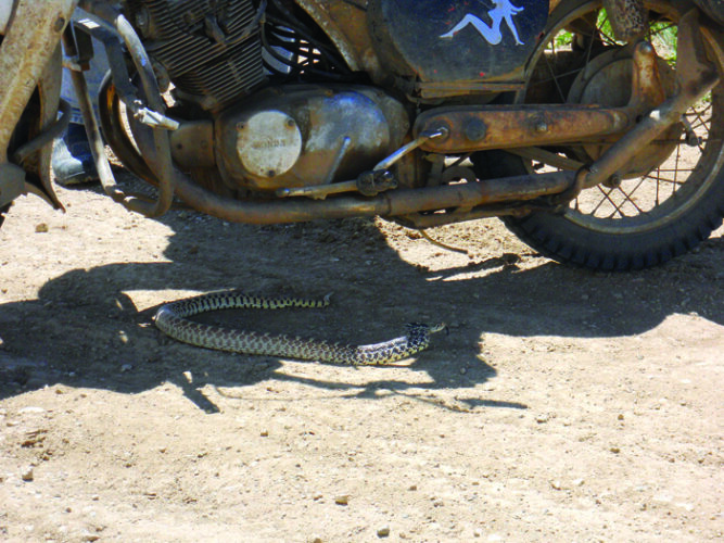 TransAmerica Trail May 2010